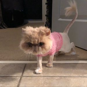 Meet your Posher, Grant